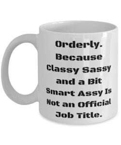 orderly. because classy sassy and a bit smart assy. orderly 11oz 15oz mug, unique orderly gifts, cup for colleagues from friends, one of a kind gifts, personalized gifts, custom gifts, handmade gifts,