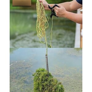 LHTHT Aquatic Weed Cutter for Lakes and Ponds,15m Paracord + Handle,2 PCS Protective Gloves Folding Weed Razor Aquatic Plants Cutter Stainless Steel Water Grass Knife