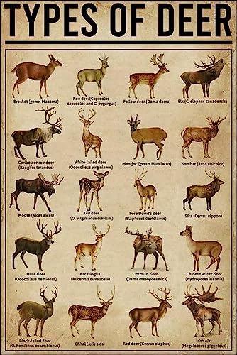 Types Of Deer Knowledge Sign Retro Metal Sign Vintage Tin Sign For Kitchen Home Cafe Art 5.5x8 Inch A Gift For Mom And Dad