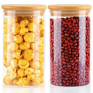 Tyniaide Glass Storage Jars with Airtight Lids 26oz, Set Of 2 Glass Airtight Food Storage Containers, Clear Glass Food Canister for Coffee, Candy, Cookie, Rice, Sugar, Flour, Pasta, Nuts - Bamboo Lids