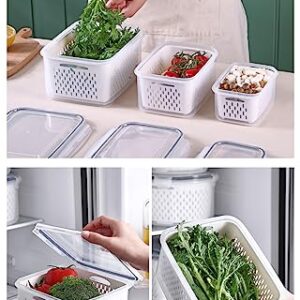 Phantom Chef Nesting Food Storage with Lids | 3 Sizes | Dishwasher & Microwave Safe | Food Grade BPA-FREE Safe | Perfect for Refrigerator Fridge Organizer | Portable & Stackable Design (Aqua)