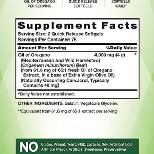 Nature's Truth Oil of Oregano Softgel Capsules | 4000 mg | 150 Count | Non-GMO & Gluten Free Herbal Supplement