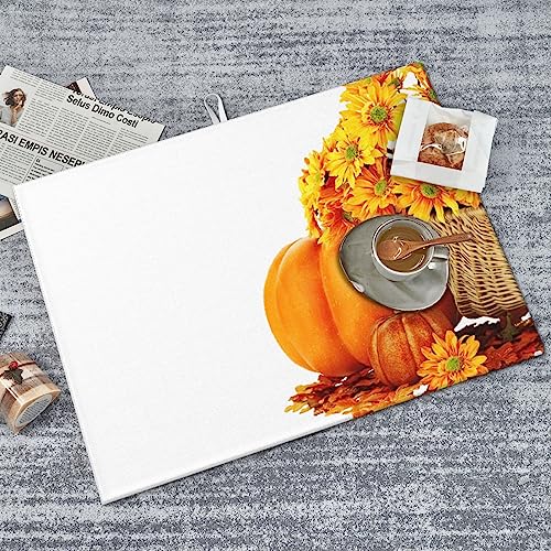 Autumn Pumpkins Sunflowers Absorbent Microfiber Dish Drying Mat Microfiber Quick Dry Pad for Kitchen Counter Coffee Bar Washing Dishes 18x24in