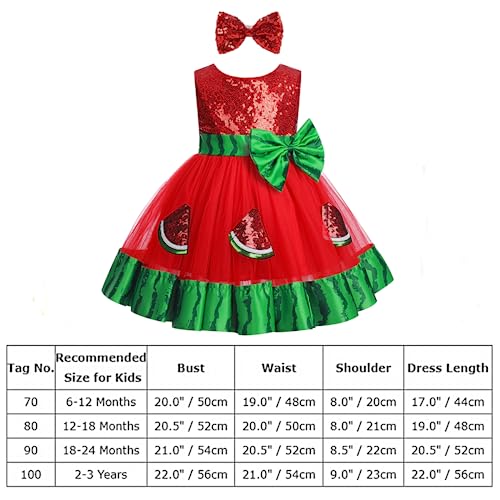 Infant Baby Girl First Birthday Dress Cake Smash Outfits Toddler Watermelon Tulle Tutu Halloween Christmas Cosplay Outfits Easter Baptism Princess Dress for Photo Shoot Red-Watermelon 12-18 Months