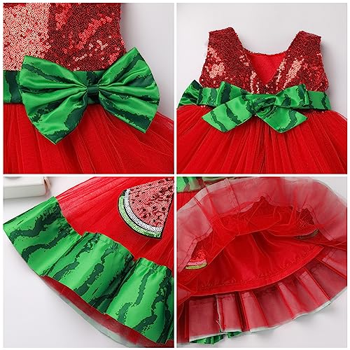 Infant Baby Girl First Birthday Dress Cake Smash Outfits Toddler Watermelon Tulle Tutu Halloween Christmas Cosplay Outfits Easter Baptism Princess Dress for Photo Shoot Red-Watermelon 12-18 Months