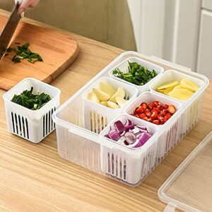 Food Storage Containers with Lids Airtight for Fridge, Refrigerator Fresh-keeping Food Storage Box Strainer with 6 Drain Basket, Vegetable Fridge Storage for Chopped Scallion Ginger Garlic Onion