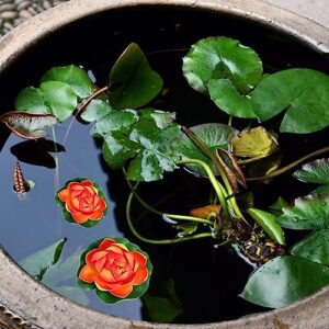 HOMSFOU Lotus Flower Artificial Lotus Floating Flowers 6Pcs Foam Water Lily Pond Plants Decorations Frog for Home Garden Pool Aquarium Ornament Decoration Red Pool Lilly Pad