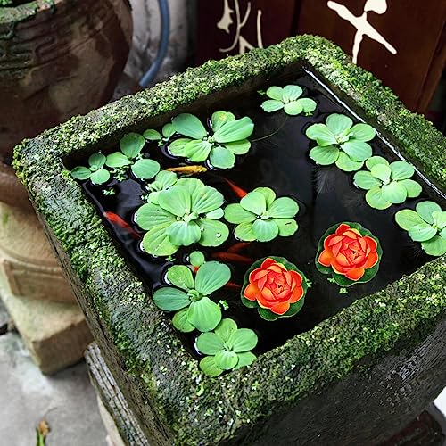 HOMSFOU Lotus Flower Artificial Lotus Floating Flowers 6Pcs Foam Water Lily Pond Plants Decorations Frog for Home Garden Pool Aquarium Ornament Decoration Red Pool Lilly Pad