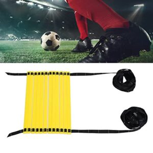 plplaaoo Agile Ladder Football Step Training Rope Ladder Agile Training Speed Ladder with Scale 6m 12 Rungs Workout Ladder for Ground Ladder Drills Speed Training Kit Set for Soccer Boxing Footwork