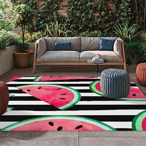 Outdoor Rug Waterproof Outdoor Patio Rug Outdoor Area Rug Mats RV Camping Rugs Outdoor Carpet Tropical Fruit Watermelon Pink Summer Stripe Black and White Background 4x6 Feet