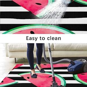 Outdoor Rug Waterproof Outdoor Patio Rug Outdoor Area Rug Mats RV Camping Rugs Outdoor Carpet Tropical Fruit Watermelon Pink Summer Stripe Black and White Background 4x6 Feet