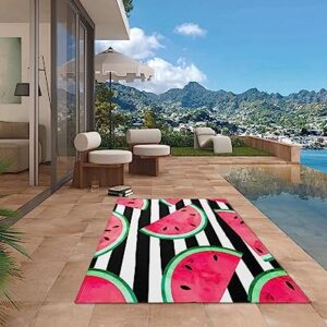 Outdoor Rug Waterproof Outdoor Patio Rug Outdoor Area Rug Mats RV Camping Rugs Outdoor Carpet Tropical Fruit Watermelon Pink Summer Stripe Black and White Background 4x6 Feet