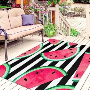 Outdoor Rug Waterproof Outdoor Patio Rug Outdoor Area Rug Mats RV Camping Rugs Outdoor Carpet Tropical Fruit Watermelon Pink Summer Stripe Black and White Background 4x6 Feet