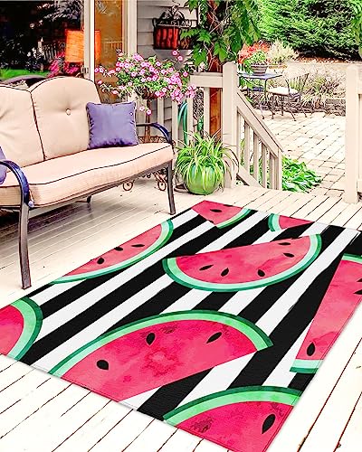 Outdoor Rug Waterproof Outdoor Patio Rug Outdoor Area Rug Mats RV Camping Rugs Outdoor Carpet Tropical Fruit Watermelon Pink Summer Stripe Black and White Background 4x6 Feet