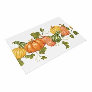 Outdoor Rug Carpet Indoor Area-Rug Thanksgiving Autumn Pumpkin Washable High Traffic Bedroom Kitchen Mat Backyard Patio Porch Rug, 4 X 6