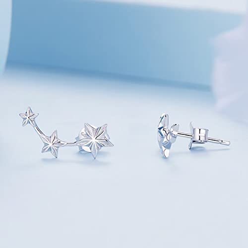 Simple Star Earrings 925 Sterling Silver Fashion Personality Shining Samsung Earrings Suitable for Young and Beautiful Women