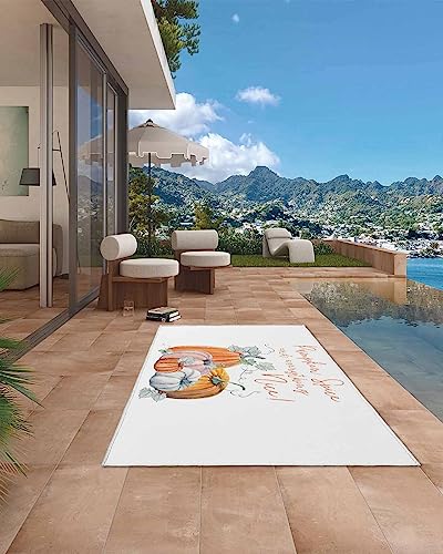 Outdoor Rug Pumpkin Space Fall Harvest Thanksgiving Autumn Leaf Orange Area Rug, Easy Cleaning Waterproof Outdoor Plastic Straw Rug for Patio Decor Backyard Deck Picnic Camping Living Room, 4x6 Feet