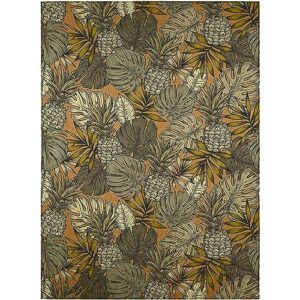 dalyn rugs indoor/outdoor tropics tc11 brown washable 8' x 10' rug
