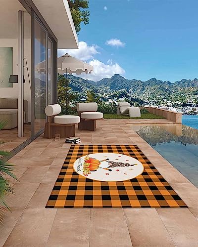 Outdoor Patio Rugs Pumpkin Sunflowers Fallen Leaves Outdoor Area Rug Orange Checkered Non-Slip Backyard/Camping RV Rug/Deck/Porch Rug Front Door Floor Mat Carpet,5x8ft,