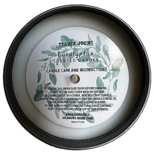 Trader Joe's Eucalyptus Scented Soy Candle (2 Pack)