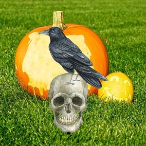 Halloween Yard Sign Crow On Skeleton Head Scary Stakes Yard Decorations Halloween Party Decorations Garden Stakes Decor Yard Signs Yard Art for Patio, Garden, Porch Halloween Party Decor 1 Pack