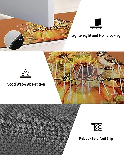 Bathroom Floor Shower Mat, Non-Slip Small Rugs - Easy to Clean, Fall Thanksgiving Pumpkin Sunflower Bird Brown Background Durable Bath Rug 16"x24" Washable Quick Dry Mats for Bathtubs