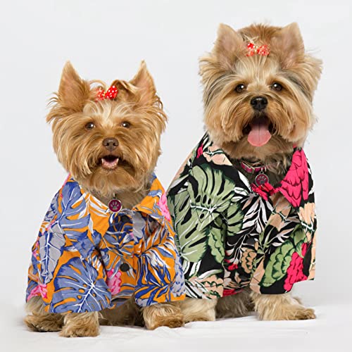 ASENKU 2 Pack Dog Hawaiian Shirt Dog Summer Clothes Cool Dog Polo T-Shirts Floral Dog Vest Short Sleeve Pet Apparel with Printed Coconut Tree and Fruits for Small to Medium Puppy Dogs Cats (Medium)