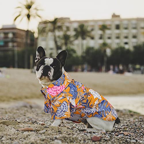 ASENKU 2 Pack Dog Hawaiian Shirt Dog Summer Clothes Cool Dog Polo T-Shirts Floral Dog Vest Short Sleeve Pet Apparel with Printed Coconut Tree and Fruits for Small to Medium Puppy Dogs Cats (Medium)