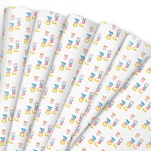 central 23 rude birthday wrapping paper - 6 sheet of gift wrap with tags - funny birthday wrapping paper - gift wrapping paper for mom dad grandpa nana - recyclable