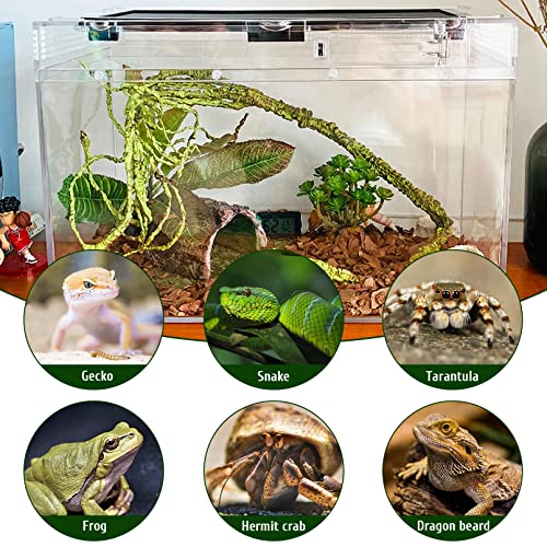 Hamiledyi Reptile PC Glass Terrarium, Amphibians Tank Starter Kits Transparent Small Lizard Habitat Enclosure Gecko Cage Accessories for Snake Lizard Turtle Frogs 12x9x7 Inch