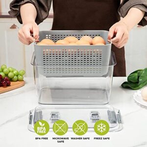 SPEARS OULET MALL | 3 in 1 Fruit Containers for Fridge | Multifunctional Draining Crisper with Strainers | BPA free Plastic Fridge Storage Containers | Food, Fruits & Vegetables Containers with Vents