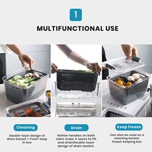 SPEARS OULET MALL | 3 in 1 Fruit Containers for Fridge | Multifunctional Draining Crisper with Strainers | BPA free Plastic Fridge Storage Containers | Food, Fruits & Vegetables Containers with Vents