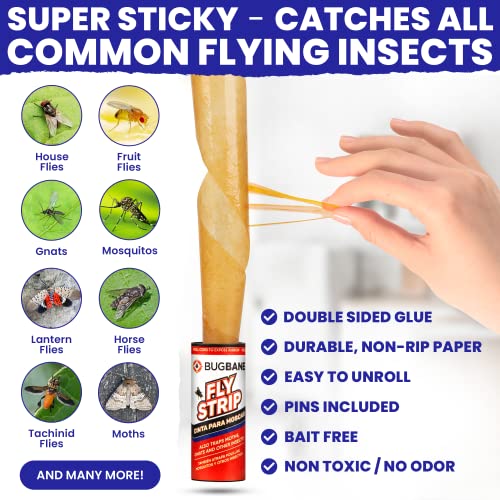 10 Fly Strips Indoor Sticky Hanging with Pins. Fly Trap Fly Paper Strips Indoor Hanging Fly Tape for Indoors and Outdoor. Fly Catcher Fly Ribbon Sticky Fly Traps for Indoors Flypaper. Fruit Gnat Traps