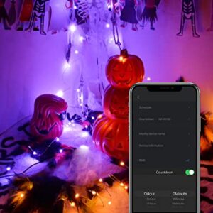 Probro Smart Fairy Lights, 66ft WiFi Dynamic Halloween Lights Work with Alexa Google Home RGB Color Changing Christmas Lights Outdoor 44 Modes Music Sync String Lights Bedroom for Halloween Christmas