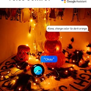 Probro Smart Fairy Lights, 66ft WiFi Dynamic Halloween Lights Work with Alexa Google Home RGB Color Changing Christmas Lights Outdoor 44 Modes Music Sync String Lights Bedroom for Halloween Christmas