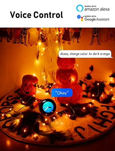 Probro Smart Fairy Lights, 66ft WiFi Dynamic Halloween Lights Work with Alexa Google Home RGB Color Changing Christmas Lights Outdoor 44 Modes Music Sync String Lights Bedroom for Halloween Christmas