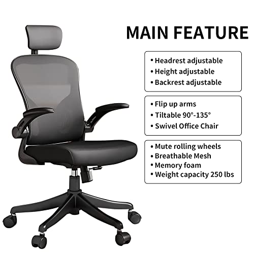 NOXXON Ergonomic Office Chair,Office Chair,High Back Tilt Ergonomic Home Office Desk Chair Black Adjustable Height Computer Chair with Flip Up Arms & Headrest & Lumbar Support & Rolling Wheels