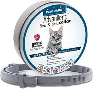 advanllent flea collar for cats, flea and tick collars for cats and kittens, 8 month protection, gray