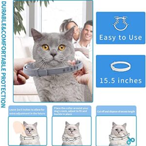 Advanllent Flea Collar for Cats, Flea and Tick Collars for Cats and Kittens, 8 Month Protection, Gray