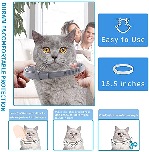 Advanllent Flea Collar for Cats, Flea and Tick Collars for Cats and Kittens, 8 Month Protection, Gray