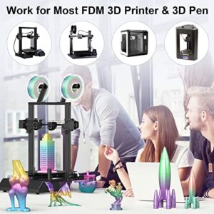 ENTINA 3D PLA Filament Multi Color Rainbow, 1kg 2.2lbs 1.75mm Dimensional Accuracy +/- 0.02mm, Color Change 3D Printing Filament for X40 3D Printers