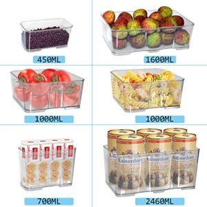 Adadmei Airtight Food Storage Container 6 PCS Set Clear Plastic Big Capacities Canisters For Cereal, Clear Fridge Organizers for Kitchen, Freezer, Countertops, Cabinets Stackable Pantry Organizer Bins