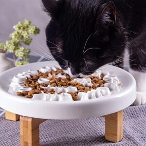 Fatcatjoy Cat Slow Feeder Bowl Ceramic Elevated Plate Cat Puzzle Feeder Improve Vomiting Dog Food Bowls Slow Feeder Easy to Clean(with Brush)