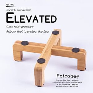 Fatcatjoy Cat Slow Feeder Bowl Ceramic Elevated Plate Cat Puzzle Feeder Improve Vomiting Dog Food Bowls Slow Feeder Easy to Clean(with Brush)