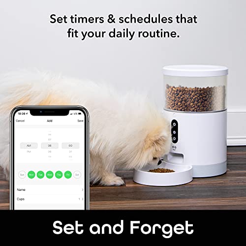 Geeni Smart Feeder, 4 Liter Automatic Pet Dog and Cat Feeder, Wi-Fi Control Compatible with Alexa and Google Home