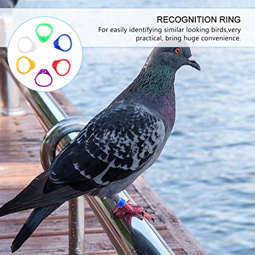 GANAZONO 200pcs 10mm Bird Ring Leg Bands Plastic Multi-Colour Pigeon Foot Bands Clip on Leg Rings for Chicks Bantam Finch Dove Lovebird Quail Small Poultry