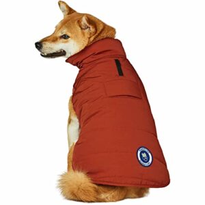 Blueberry Pet 2023 New Cozy & Comfy Windproof Waterproof Quilted Fall Winter Dog Puffer Jacket in Rusty Orange, Back Length 12", Size 10", Warm Coat for Small Dogs