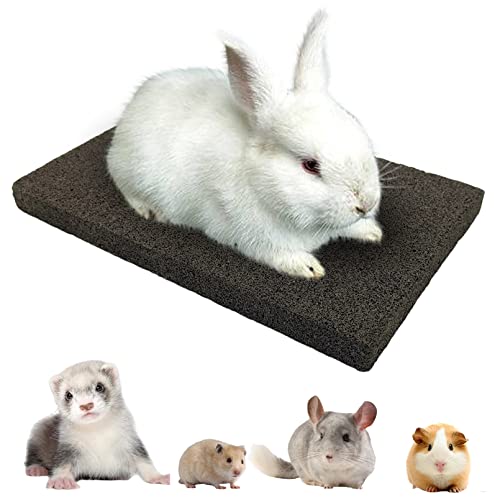 BNOSDM Rabbit Grinding Claw Pads Bunny Scratch Foot Pads Natural Hamster Lava Stone for Teeth Grinding Black Guinea Pig Scratching Board Chew Toy for Ferret Chinchilla Mouse