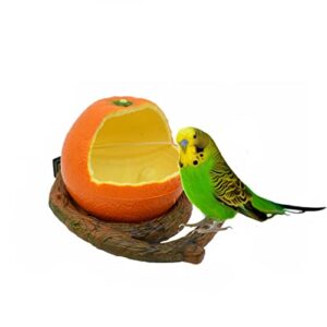 bird feeder bowl caged with fruit shape, parrot water food feeding bowl for small animal bird parrot drinking cup container cage,orange-shape