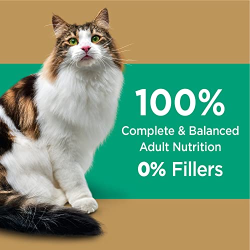 Iams Proactive Health Long Hair Care Adult Dry Cat Food with Real Chicken, 15 lb. Bag